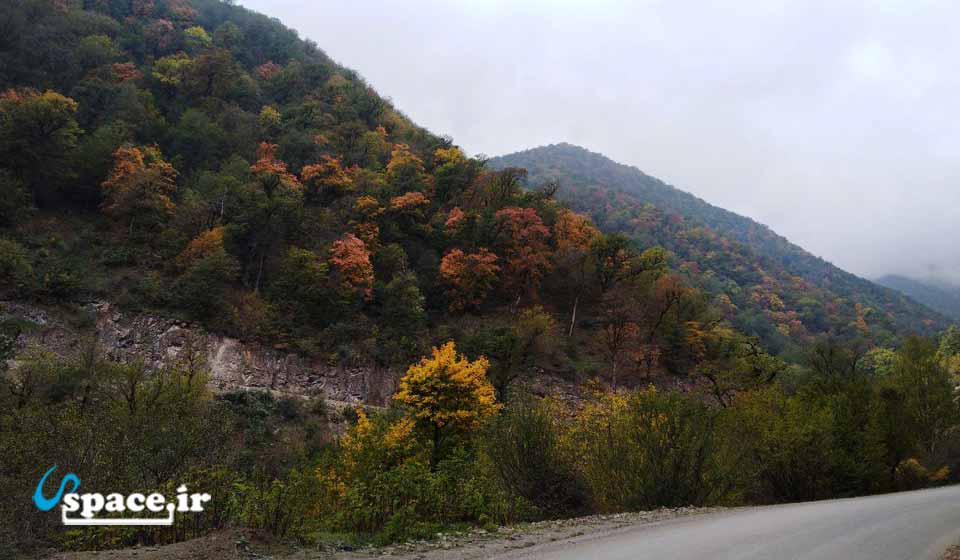 طبیعت زیبای اطراف اقامتگاه بوم گردی ننه کلثوم - رامسر - مازندران - روستای مشاورک